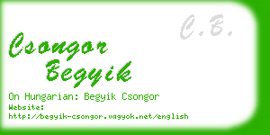 csongor begyik business card